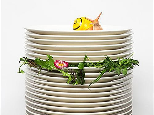 A stack of dishes with a snail on top
